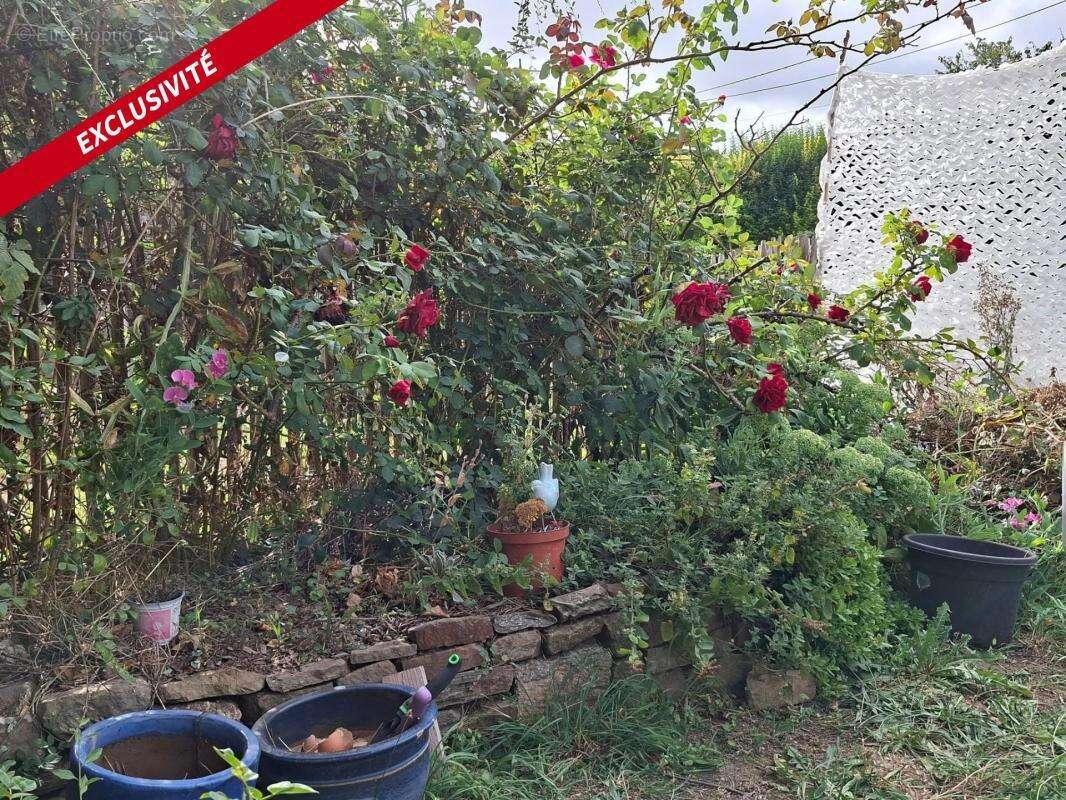 Maison à NEANT-SUR-YVEL