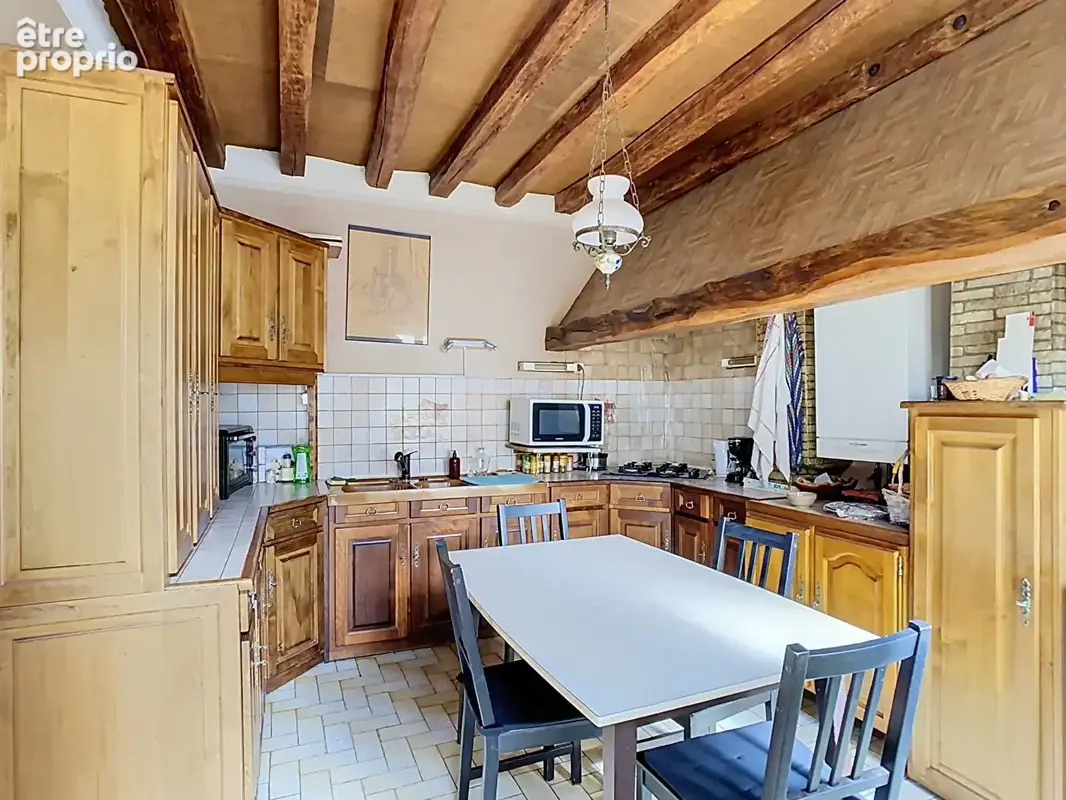Tours Velpeau proche gare maison avec grand jardin, garage et dépendances - photo 4
