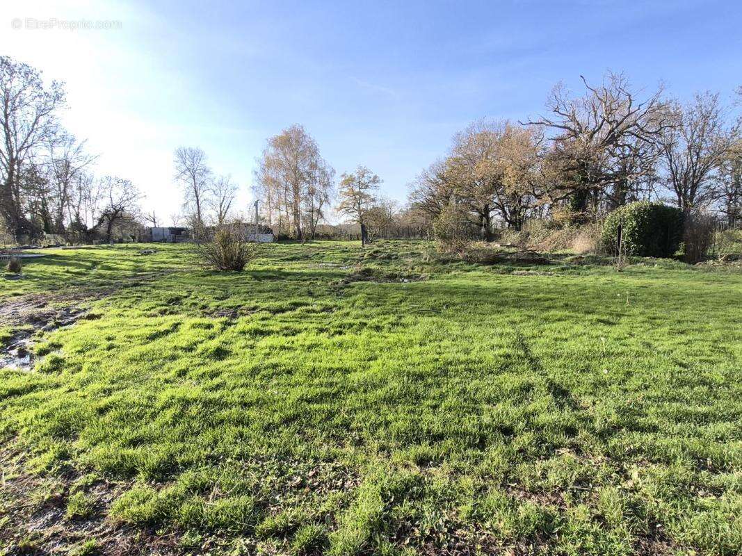 Maison à VILLARS-LES-DOMBES