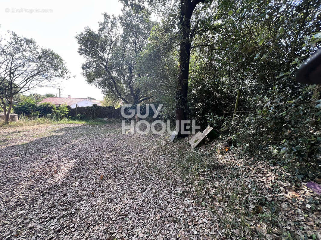 Maison pied à terre Saint-hilaire-de-riez  sur un  terrain de 350m² - photo 2