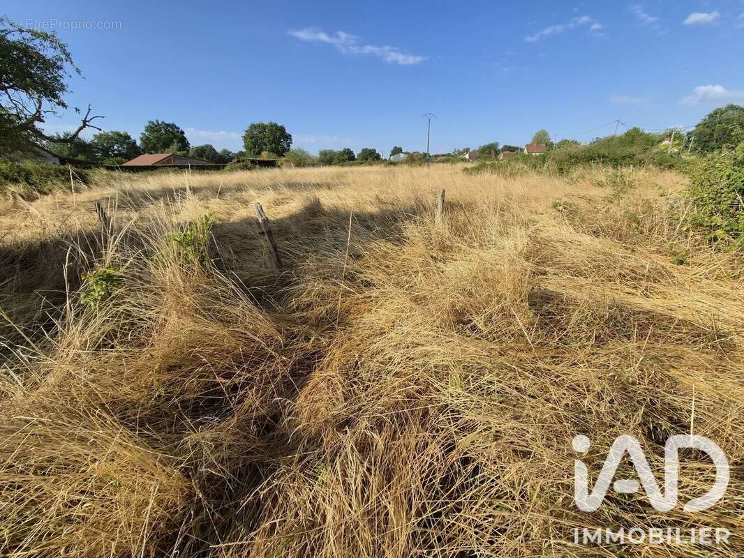 Maison 66 m² à Beaulon  - photo 4