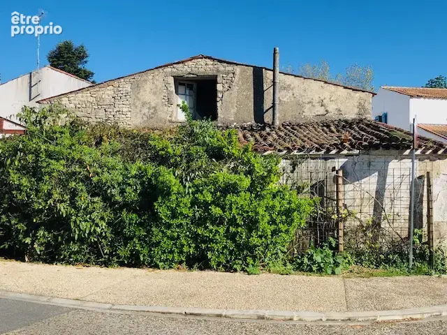 Bien atypique... - photo 2