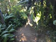 Terrain à SAINT-BENOIT