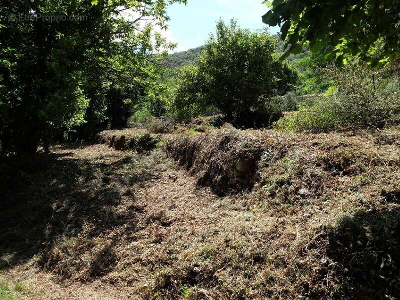 Terrain à SAINT-ANDRE-DE-MAJENCOULES