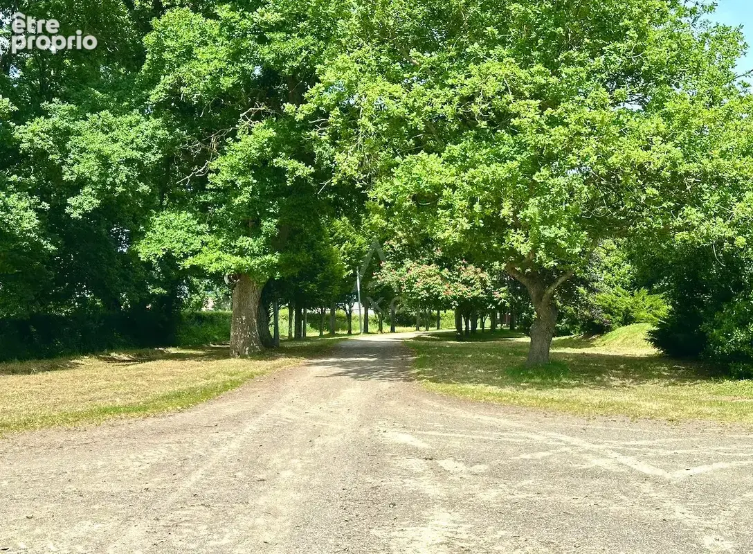 Haras d'Entraînement de Courses sur 28 Hectares   Cadre Exceptionnel - photo 17