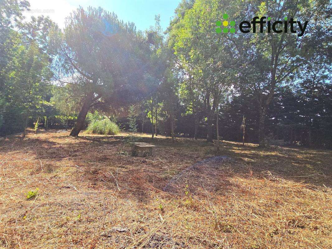 Maison à BREUIL-MAGNE