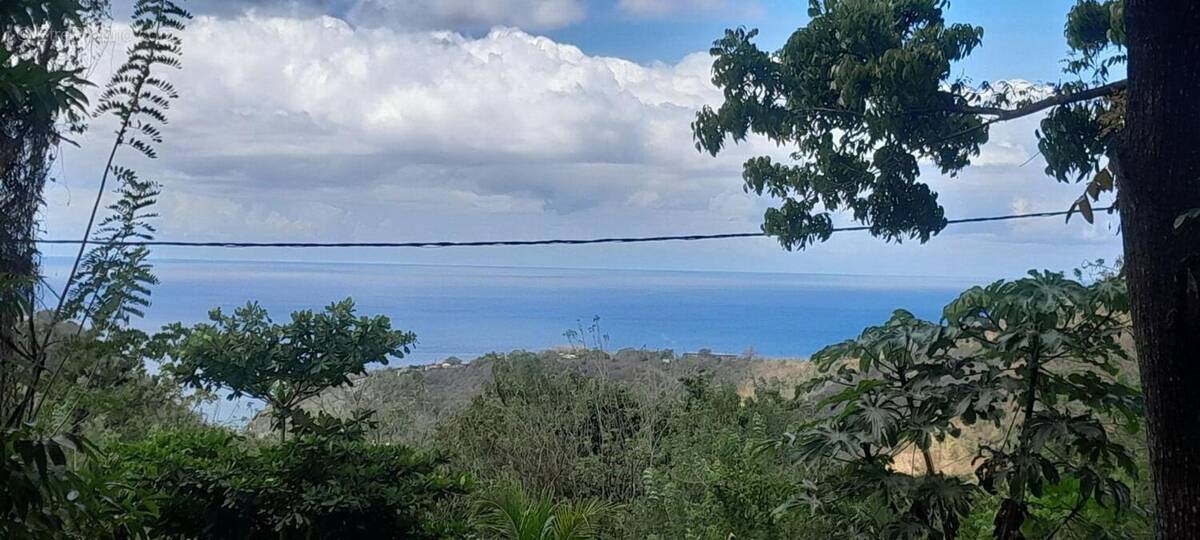 Terrain à CASE-PILOTE