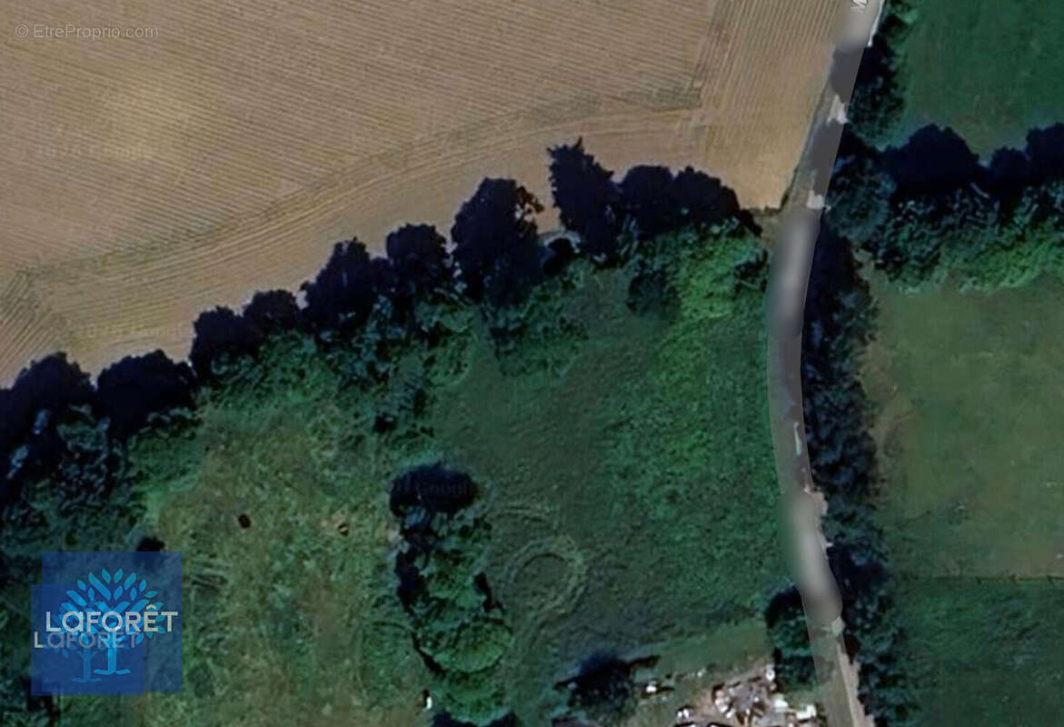 Terrain à MONTOURS