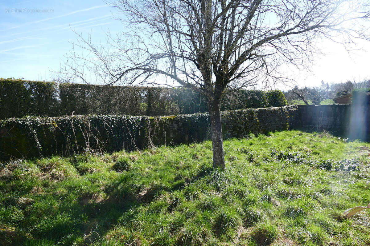 Maison en pierre avec petit jardin proche commerces et services (Puycapel-Calvinet, 15) - photo 3
