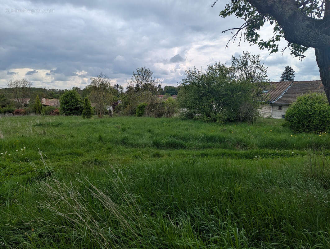 Terrain 3098 m² à Marcilly-Le-Chatel  - photo 4
