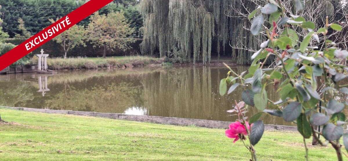 Maison à GY-EN-SOLOGNE