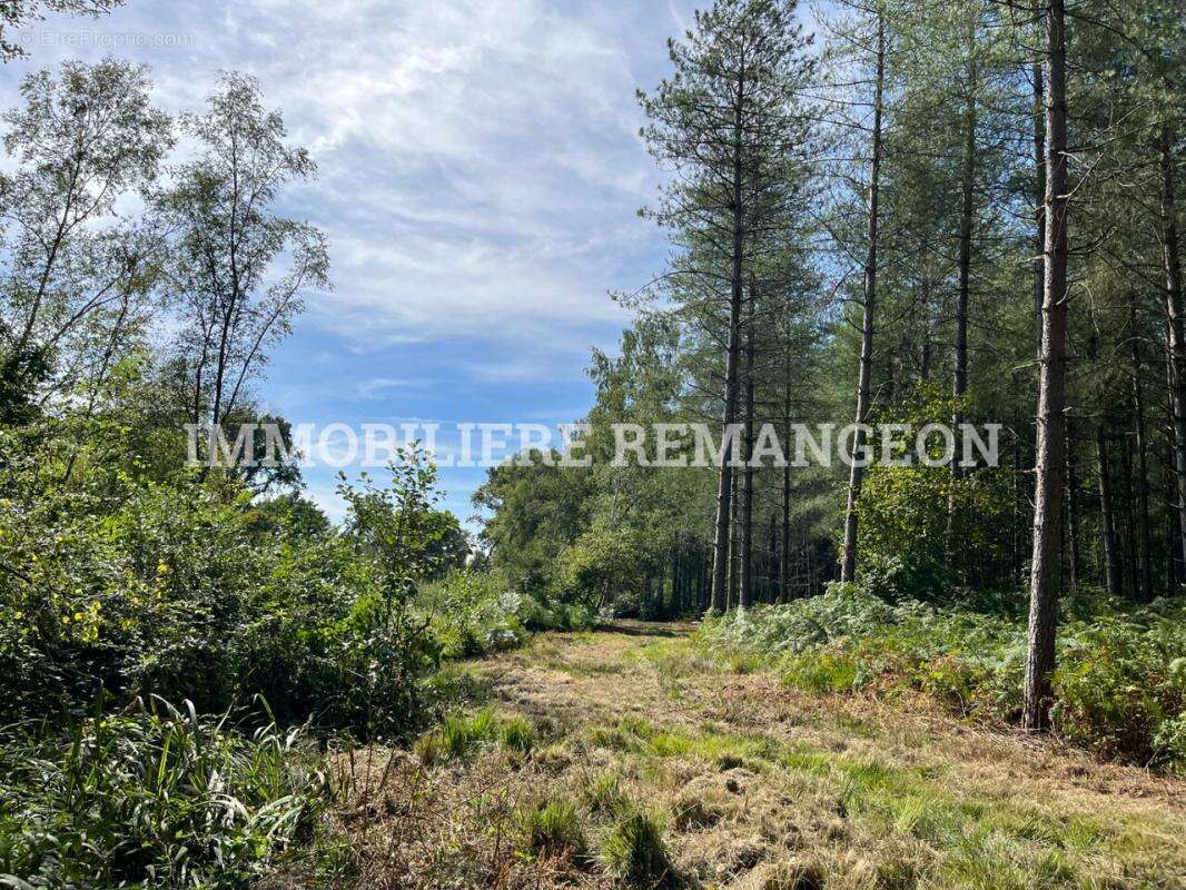 Maison à LAMOTTE-BEUVRON