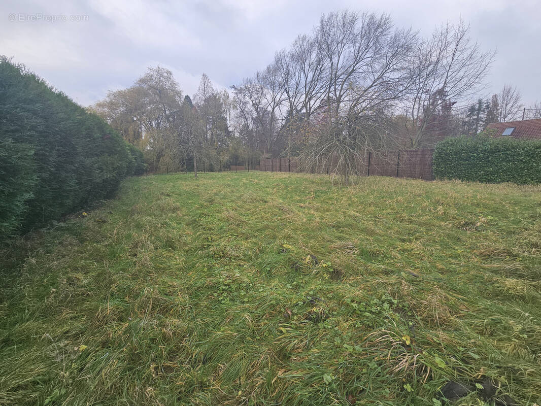 Terrain à FAUMONT