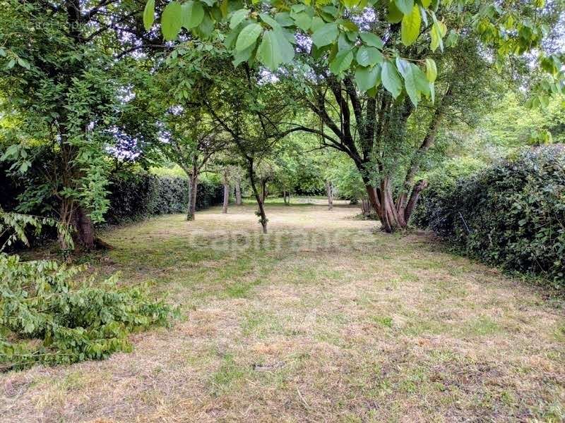 Maison à BEAUCAMPS-LE-VIEUX