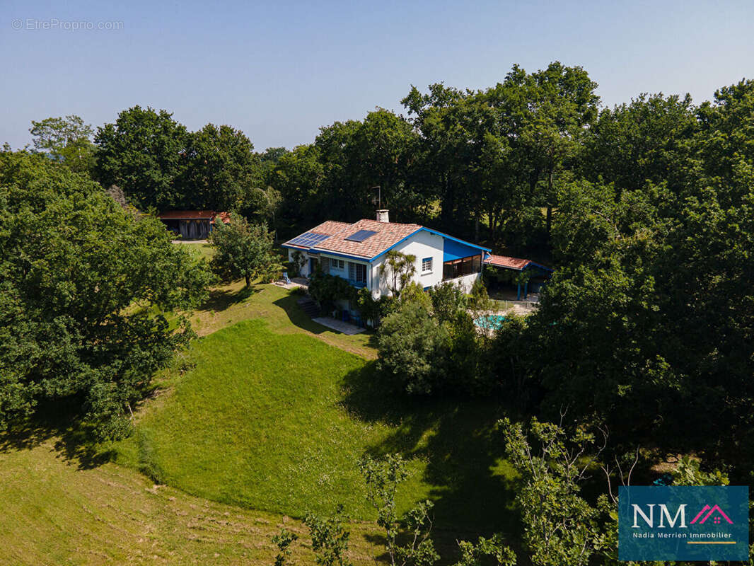 Domaine sur plus de 2 hectares de parc arboré - photo 18