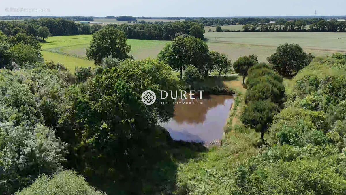 Terrain à CORCOUE-SUR-LOGNE