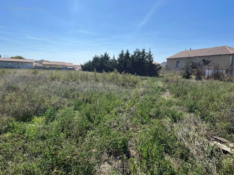 Terrain à PIERRELATTE