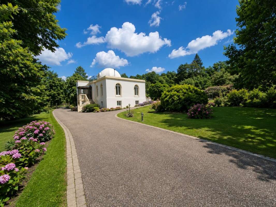 Propriete à vendre 9 pièces MIRECOURT (88) PROPRIÉTÉ D'EXCEPTION avec PISCINE sur TERRAIN clos et arboré de + de 6.500 m2 - photo 14
