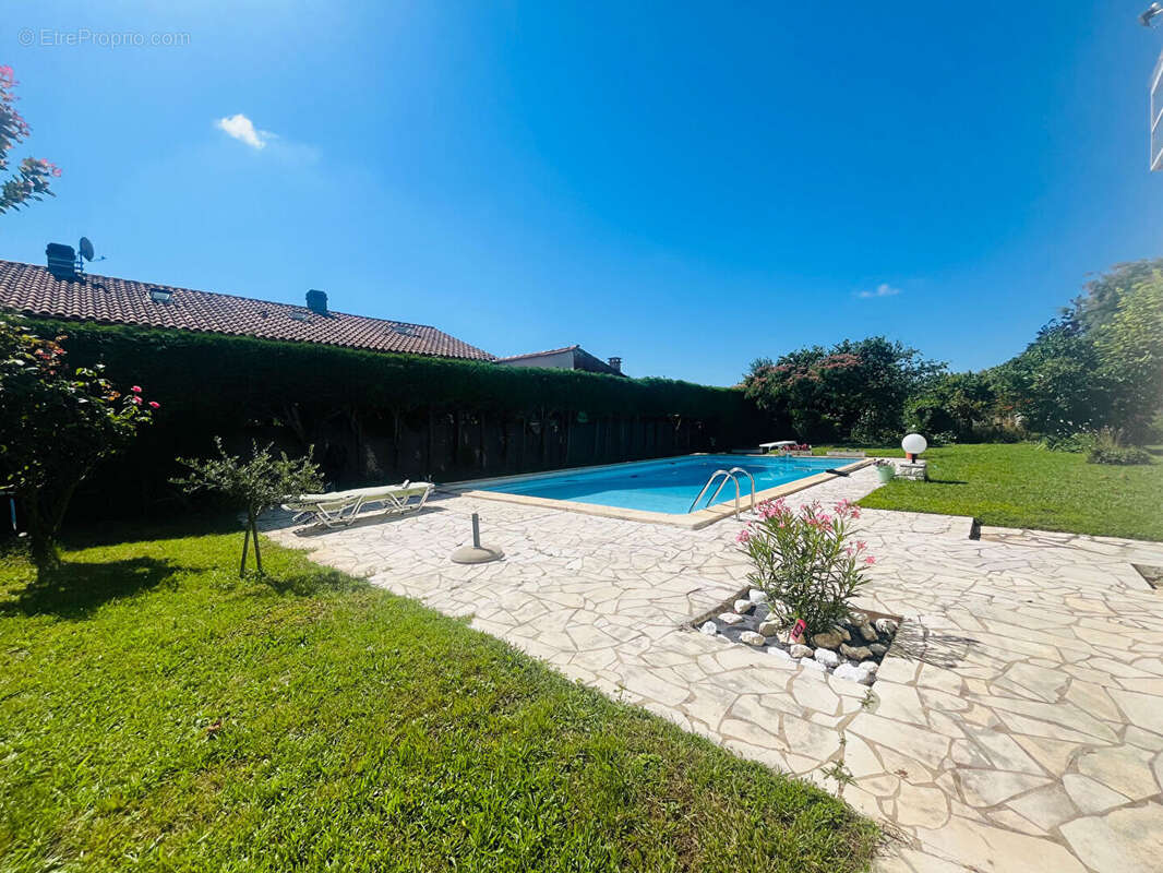 Villeneuve/Lot, maison classée "remarquable" avec dépendance, piscine et jardin - photo 6