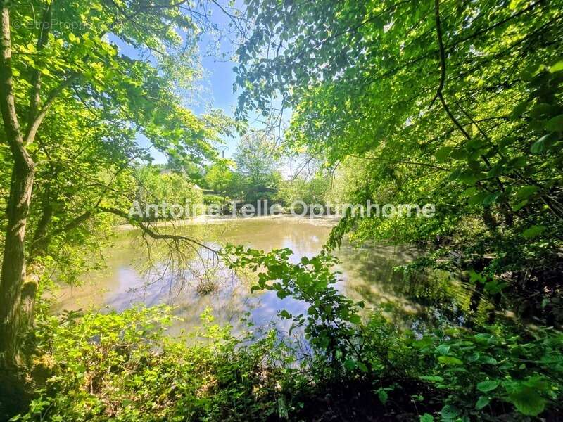 Bazuel / Le Cateau 59360 - Longère individuelle de campagne avec chalet, sauna, jardin arboré & étang sur 5265m² - photo 9