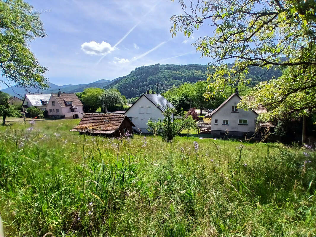 Terrain à MUNSTER