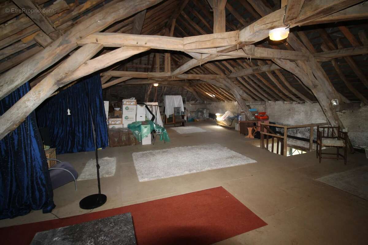Domaine d'exception avec de grands potentiels à vendre en Bourgogne - photo 30