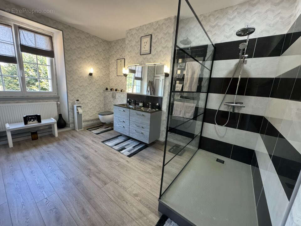 HAUTE VIENNE - Moulin enchanteur au coeur de 7,5 hectares de nature, sans voisins - photo 12