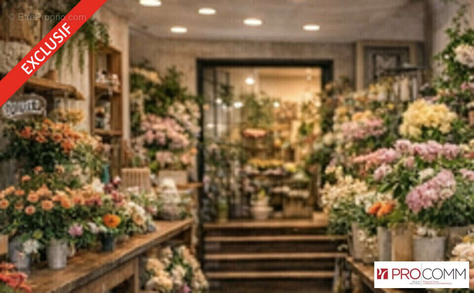 Commerce à SAINT-LOUIS