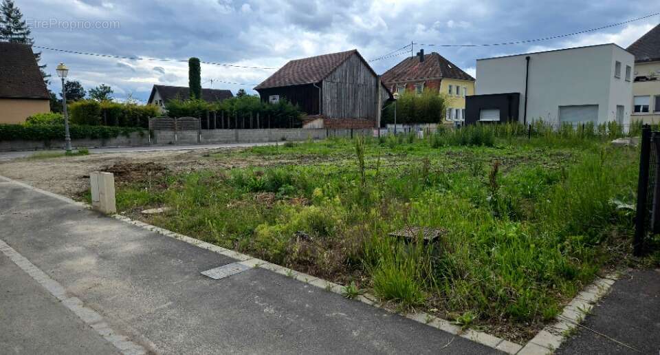 Terrain 507 m² à Jebsheim  - photo 2