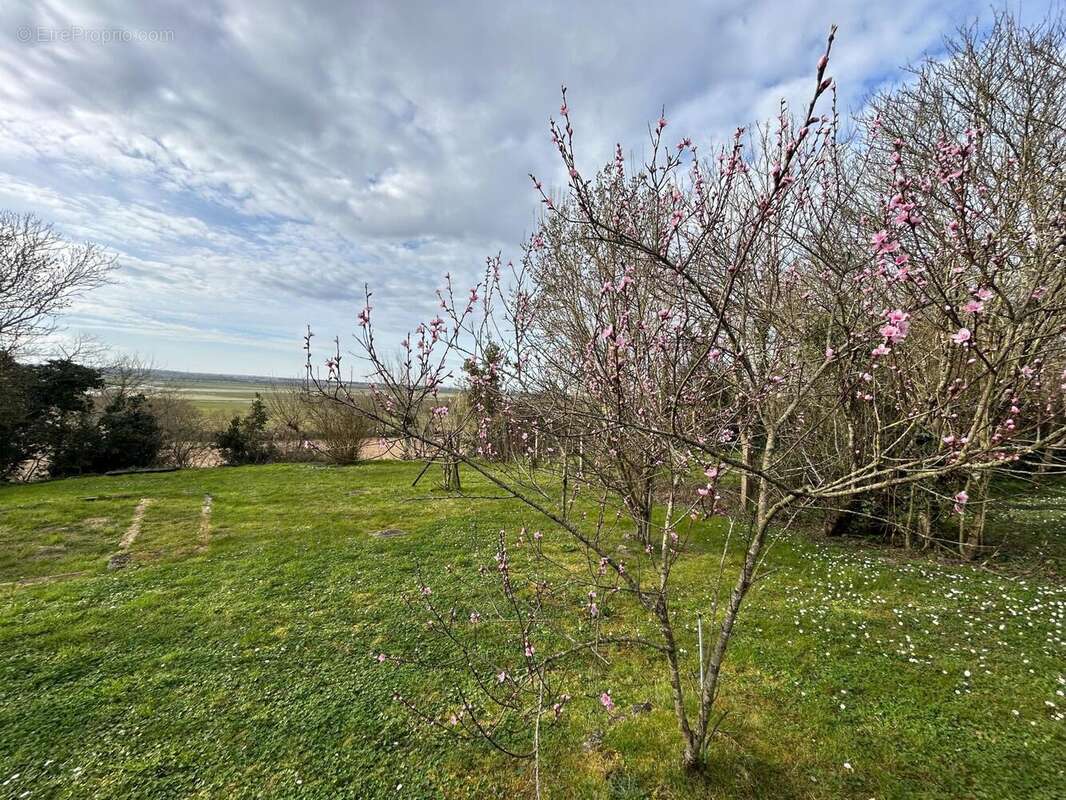 Photo 4 - Maison à LAIROUX