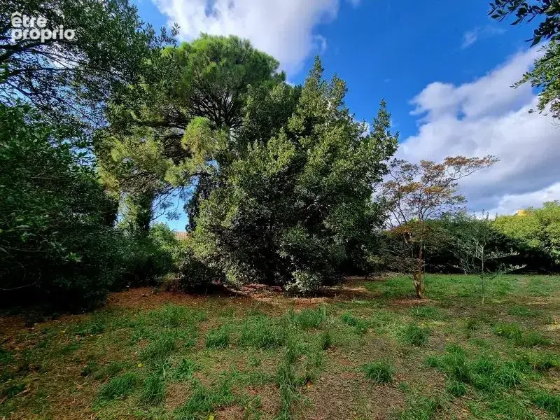 Photo Terrain à Pomerols au prix de 199 000€