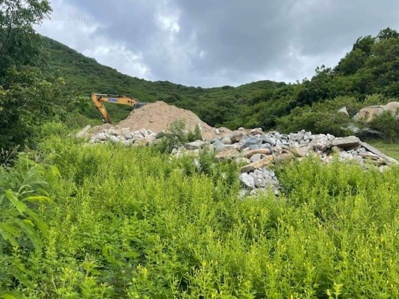 Terrain à SAINT-MARTIN