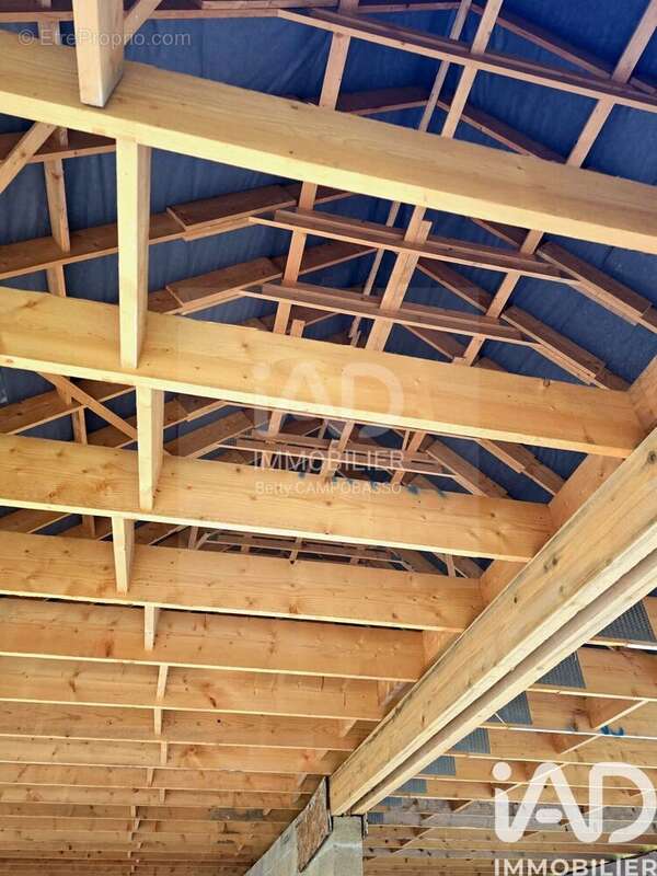 Photo 3 - Maison à CONDE-SUR-L'ESCAUT