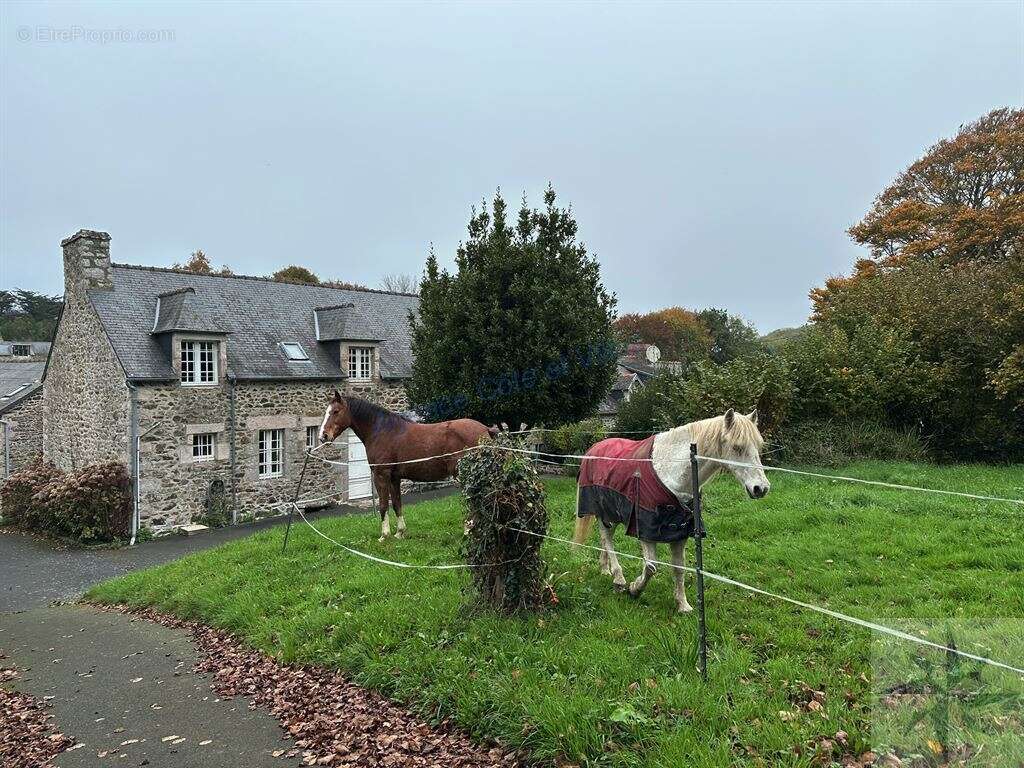 Maison à PLENEUF-VAL-ANDRE