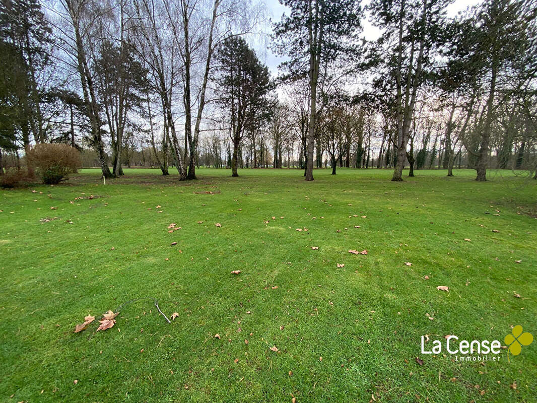 Maison à VILLENEUVE-D'ASCQ