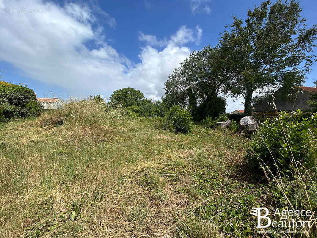 Terrain Saint Hilaire De Riez - photo 2