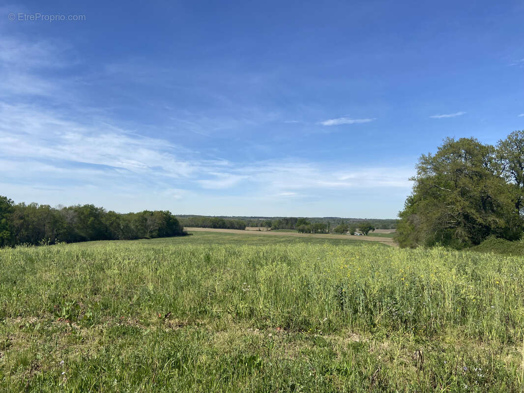 Maison à LABASTIDE-D'ARMAGNAC