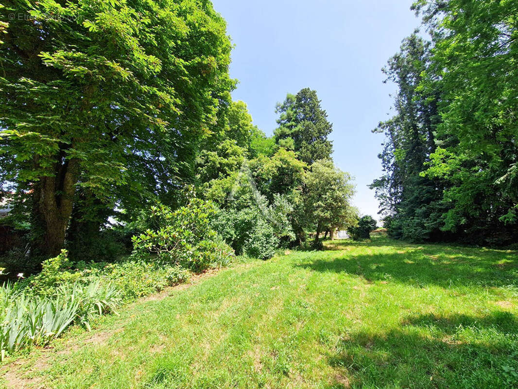 Maison à DOUE-LA-FONTAINE