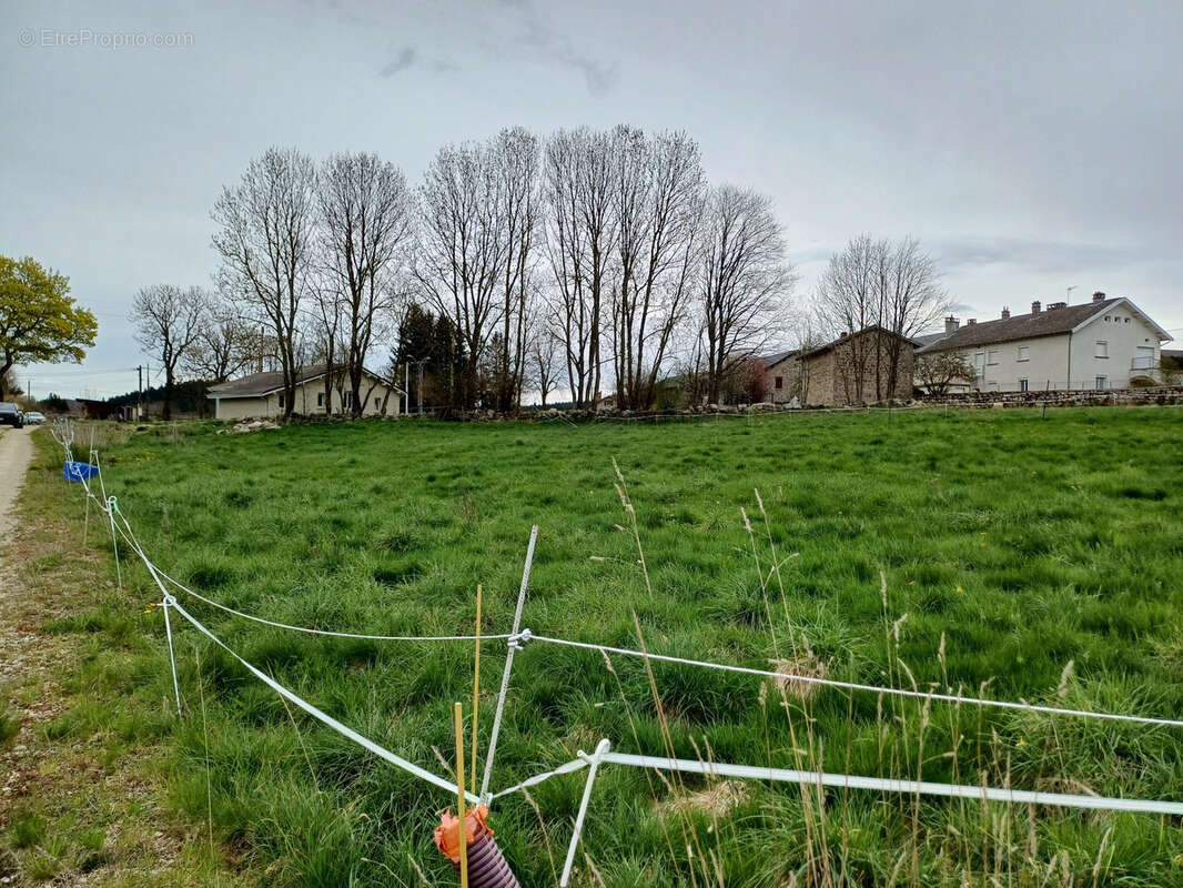 Terrain à TENCE