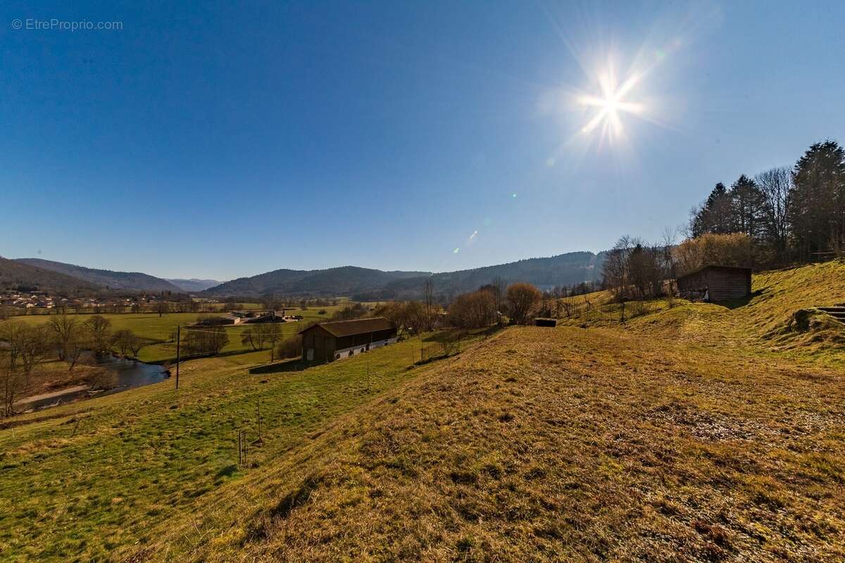 RUPT SUR MOSELLE (88)A vendre propriété T 10 pièces de 195m² sur sous sol + 4 box à chevaux +rucher, terrain 3.6 hectares - photo 8