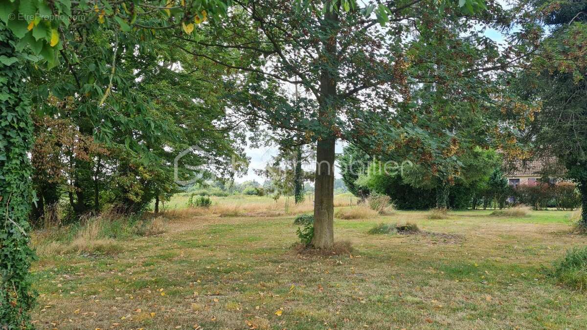 Maison à MARCHIENNES