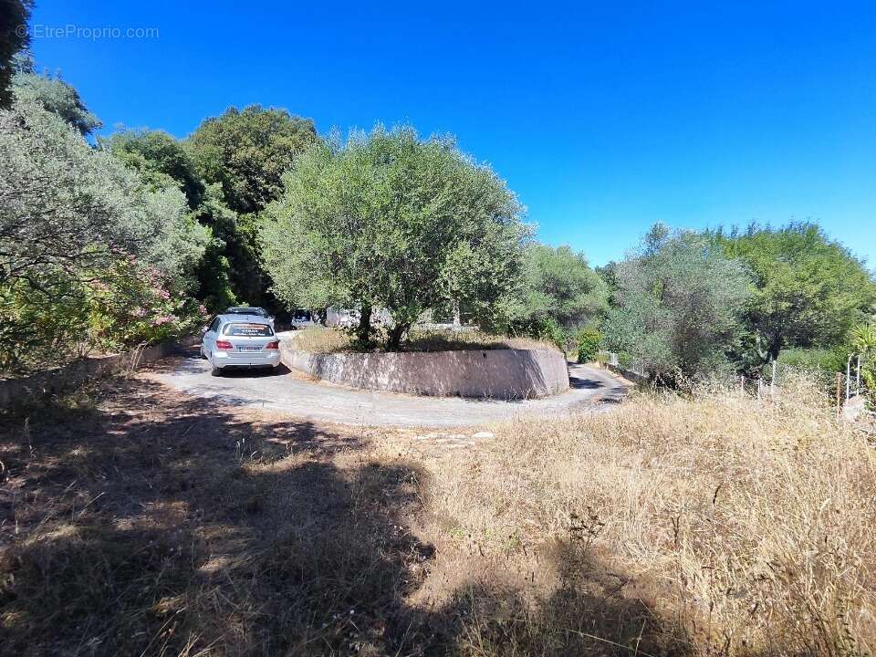 Terrain à PIGNANS
