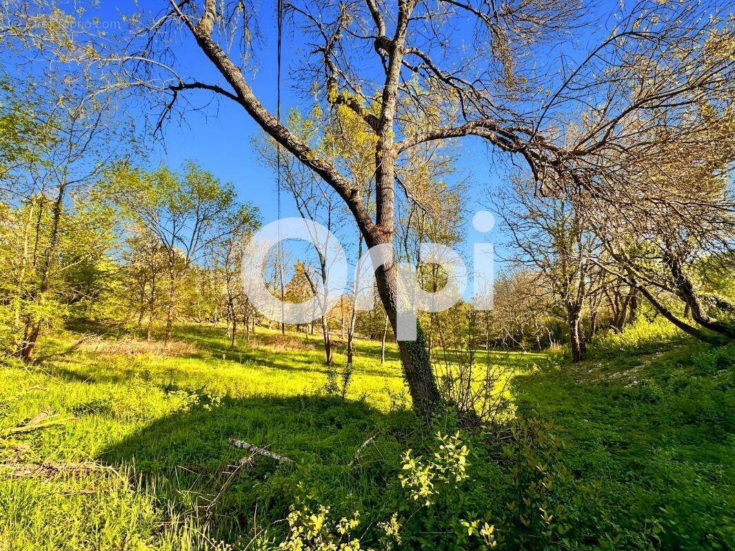 Maison à ALLEGRE-LES-FUMADES