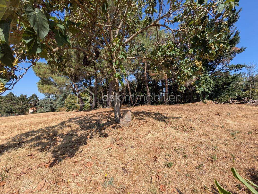 Maison bourgeoise proche bourg avec grand terrain - a renover - photo 10