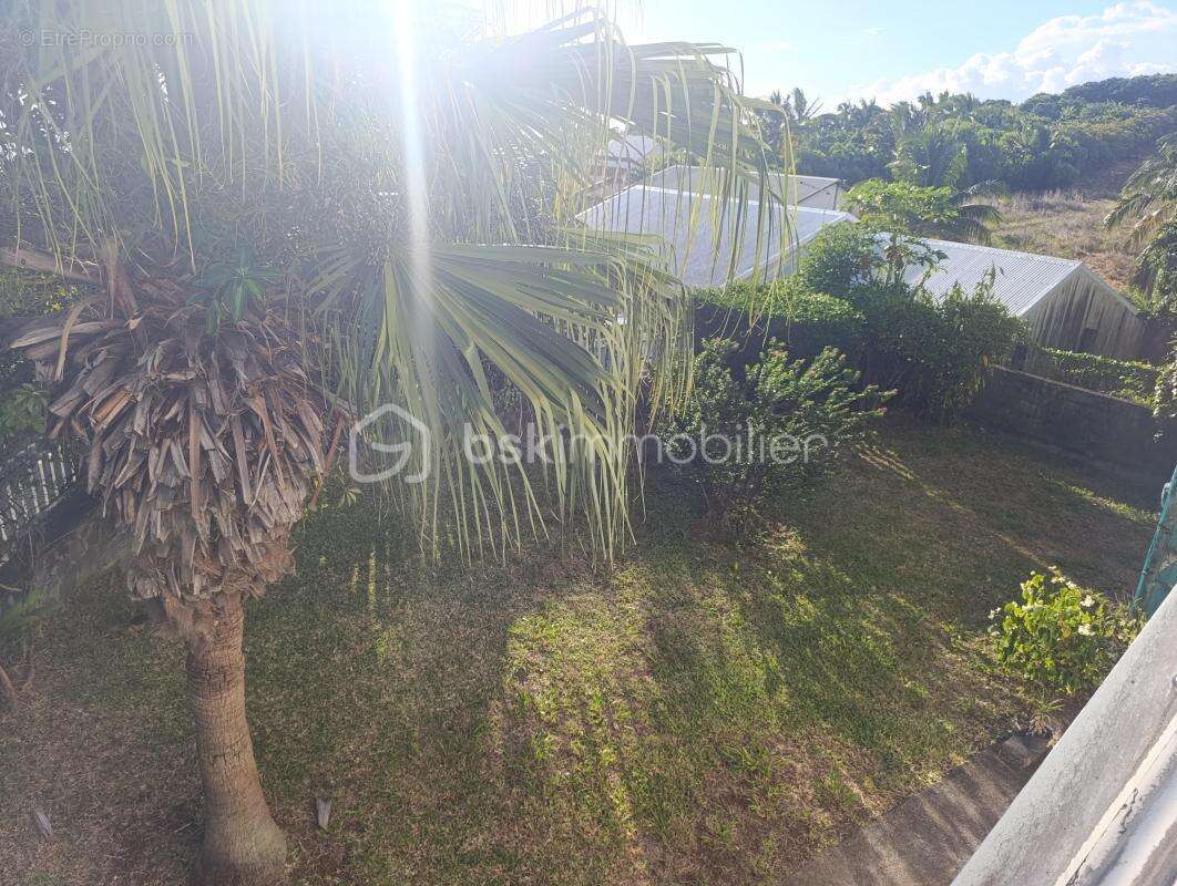 Maison à PETITE-ILE