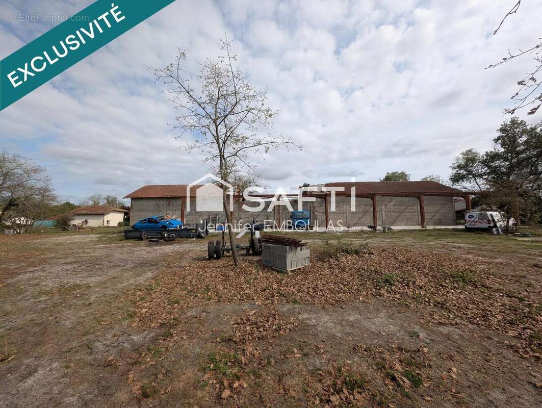 Photo 3 - Terrain à BELIN-BELIET