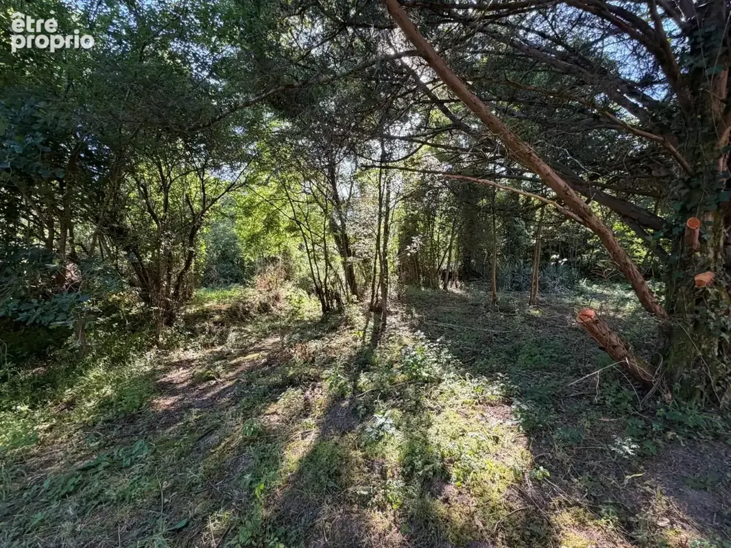PLAISANCE du GERS proche(32): ANCIENNE PROPRIETE BOURGEOISE avec dépendances, bois, petit etang, 2 hectares,CALME, sans vis à vi - photo 17