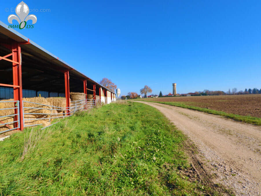 Autre à SAINT-JEAN-DE-LOSNE
