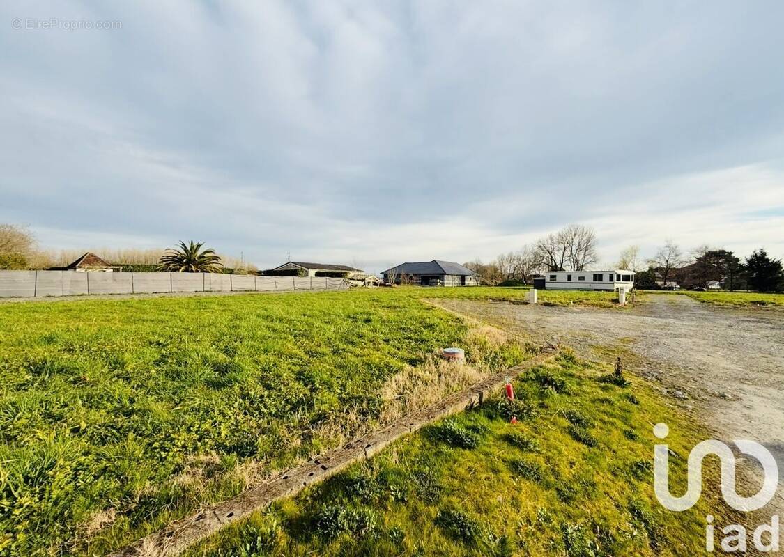 Photo 1 - Terrain à MONT