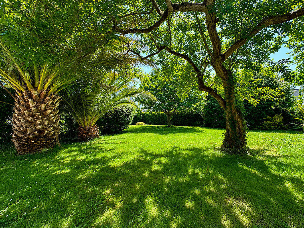 Maison familiale et son beau jardin arboré- langueux - photo 5